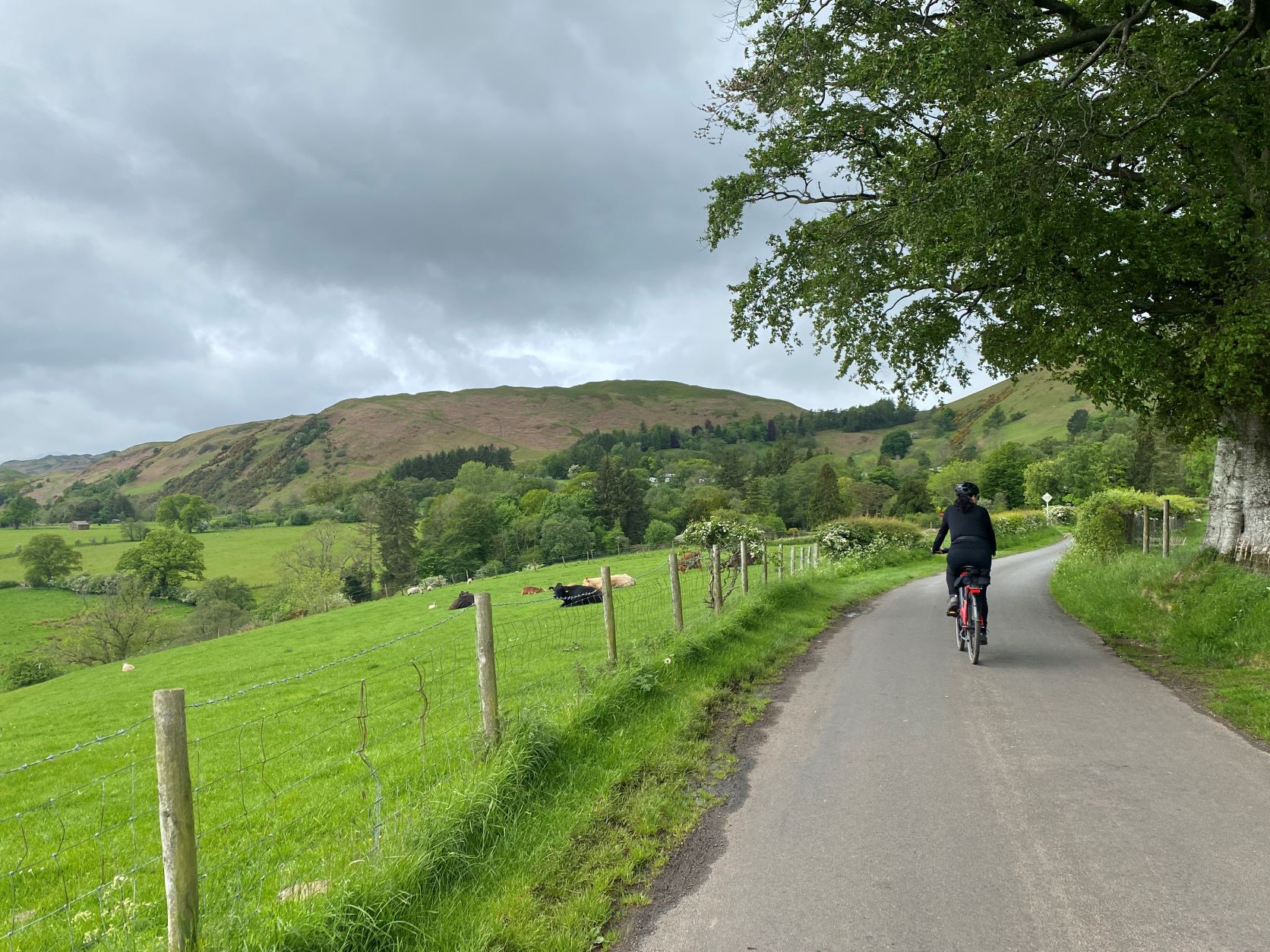 Lake District e-bikes